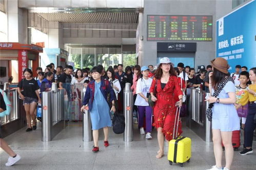 海口五個臨時旅游服務臺高效運作，累計服務近7萬人次彰顯旅游服務新高度